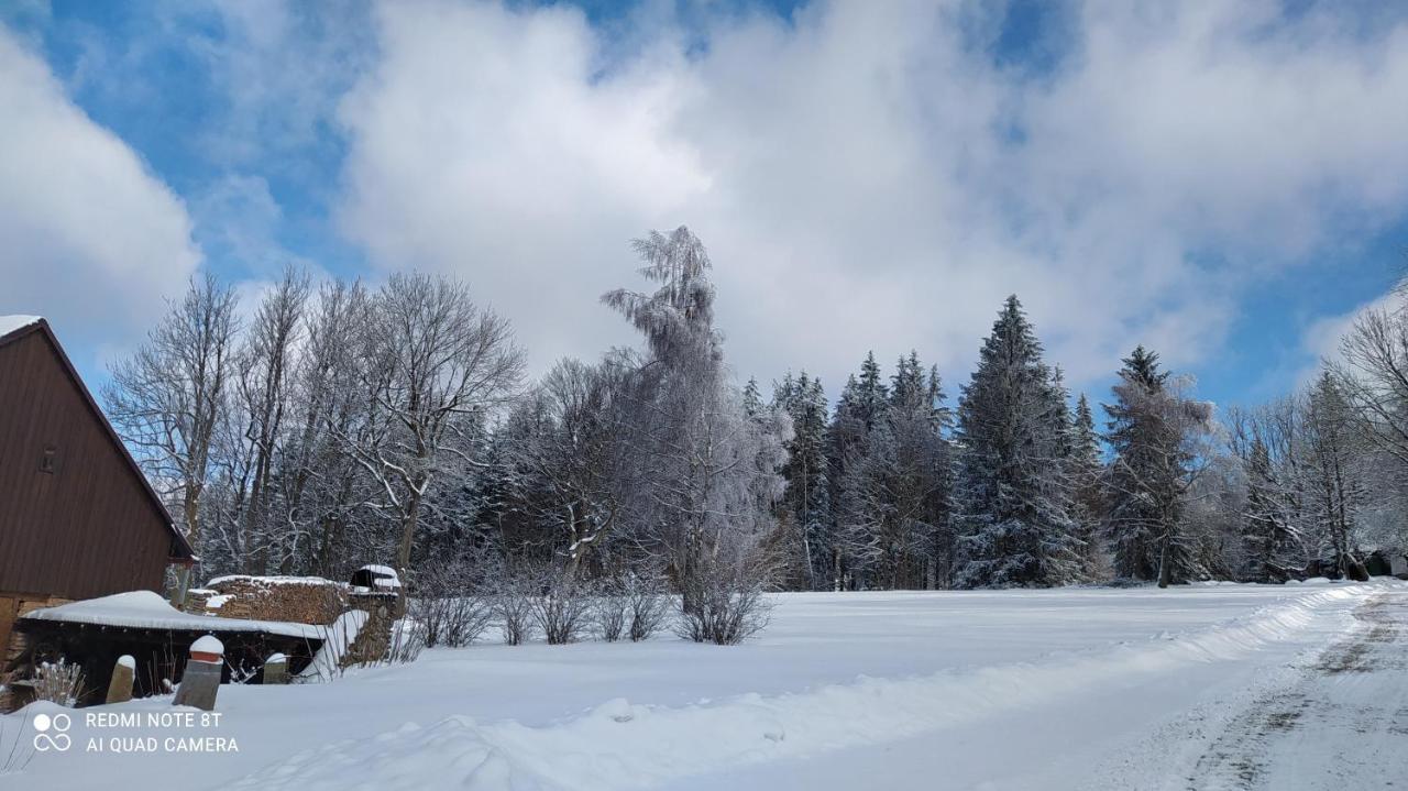 Vila Podlesí 7 Sněžné Exteriér fotografie